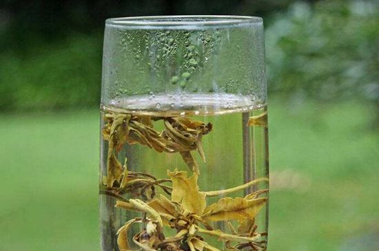 茉莉龍珠什么人不能喝，茉莉龍珠茶什么體質(zhì)不能喝？