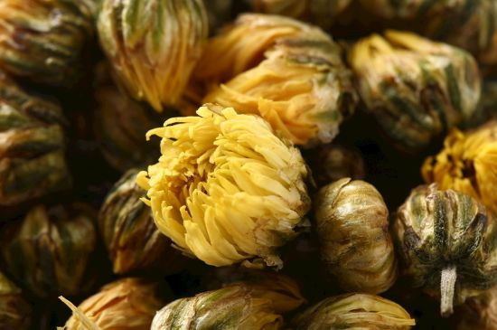 蒲公英搭配大全，蒲公英泡水喝的8種搭配