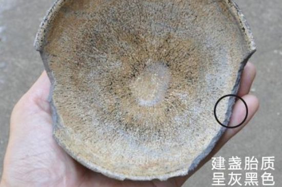 假建盞的特點，真假建盞區(qū)分帶圖