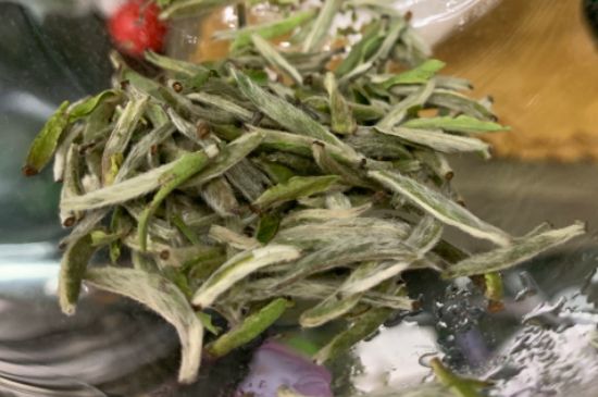 蒸汽煮茶器適合什么茶，蒸汽煮茶器適合用綠茶嗎？
