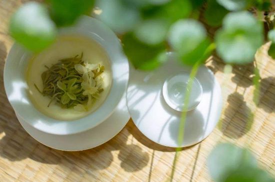 茉莉花茶6種人不要喝，什么體質(zhì)不適合喝茉莉花茶？