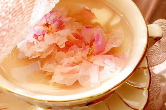 玫瑰花茶一周喝幾次，玫瑰花茶可以天天喝嗎？