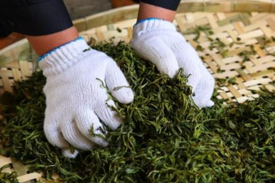 綠茶加工工藝流程圖，綠茶的加工制作包含哪幾個(gè)步驟？