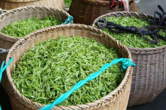 茶葉怎么炒制才香，怎樣炒茶葉更香？