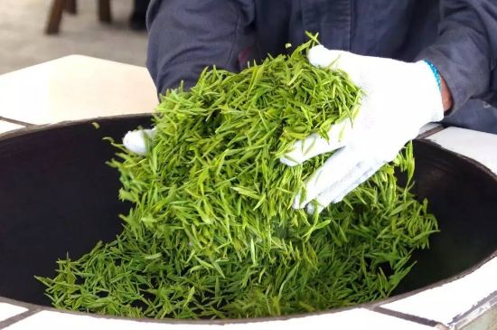 自家炒茶葉怎么炒，自己炒茶葉的步驟