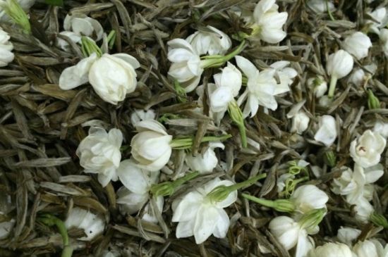 茉莉銀針口感，茉莉銀針是什么味道？