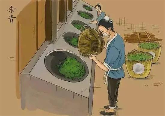 制茶八步驟，制茶工藝流程圖