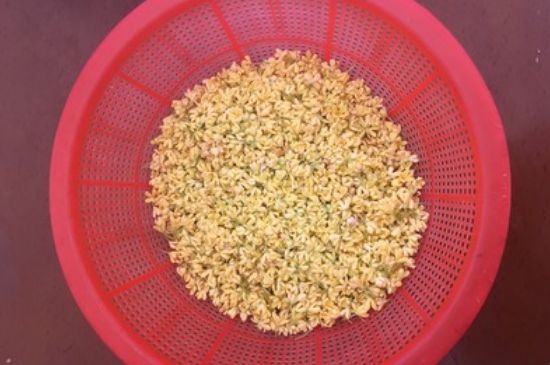 干桂花茶的制作方法，怎樣自制桂花茶？