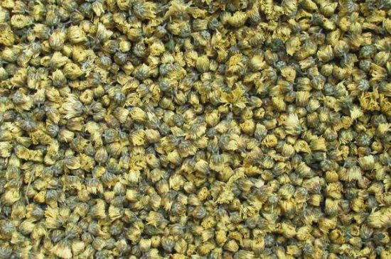 菊花茶大朵小朵有什么區(qū)別，菊花喝大朵還是小朵？