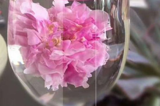 干玫瑰花泡水放幾顆，玫瑰花泡水一次放幾朵？