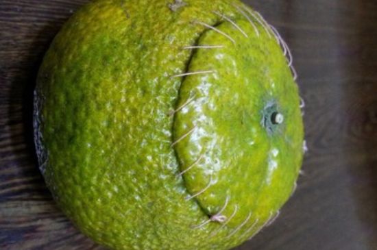 家庭自制柑普茶方法，小青柑制作9個(gè)步驟竅門（圖片）