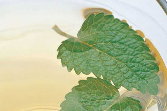 薄荷葉茶怎么制作，薄荷如何做成干茶葉
