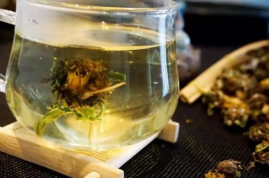 蒲公英最佳搭配，蒲公英茶和什么搭配泡水最佳