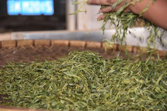 炒青綠茶與綠茶的區(qū)別，烘青和炒青哪個(gè)好喝？