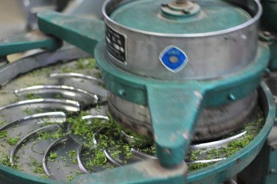 武夷巖茶的初制、精制加工工藝詳細講解