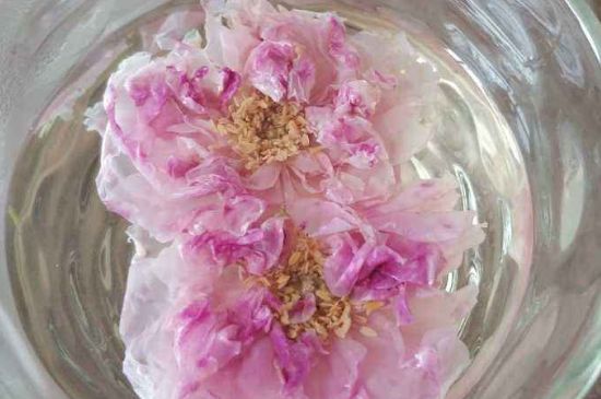 玫瑰花茶上火嗎，盲目喝玫瑰花茶易上火