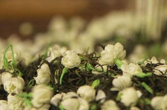 蒸茶器可以蒸花茶嗎，蒸茶器能用來蒸茉莉花茶嗎？