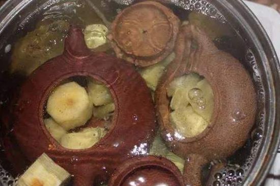 開壺放豆腐是錯誤的，新買的紫砂壺正確開壺建議