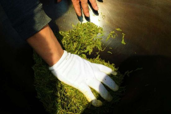 茶葉怎么炒制才香，怎樣炒茶葉更香？