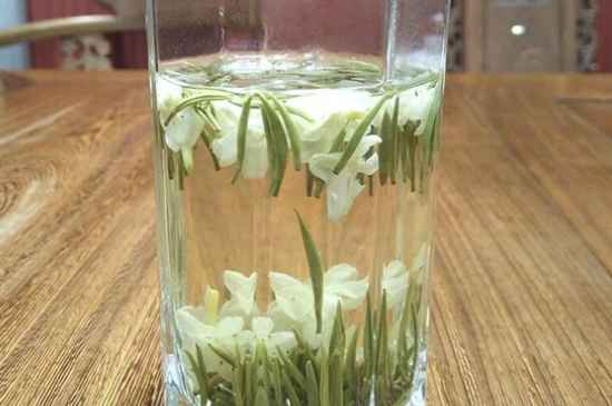 女孩喝茉莉茶的好處，茉莉茶葉的功效與禁忌