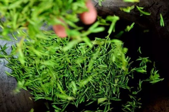 龍井茶炒茶葉怎么炒出好茶色，茶葉怎樣做出來最綠？
