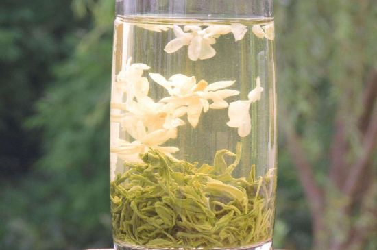 茉莉龍珠可以和什么一起泡茶，茉莉龍珠茶能加蜂蜜嗎？