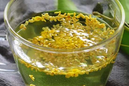 茉莉茶一次泡幾朵，茉莉茶放多少