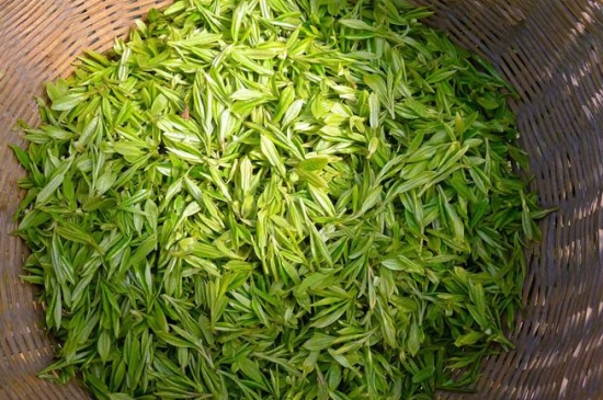 烏牛早和龍井的區(qū)別圖片，龍井43號(hào)和烏牛早茶的對(duì)比