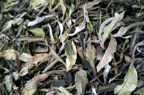 福鼎白茶貢眉和壽眉的區(qū)別，壽眉與貢眉有什么區(qū)別