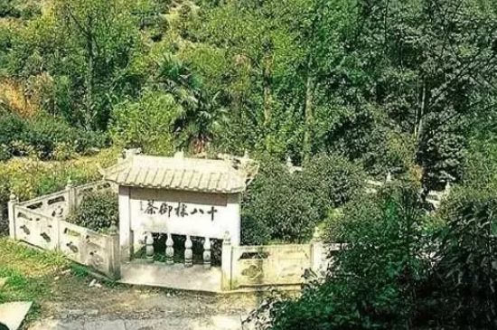 母樹大紅袍給誰喝了，為什么母樹大紅袍叫三棵六株？