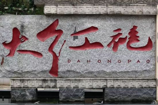 母樹大紅袍給誰喝了，為什么母樹大紅袍叫三棵六株？