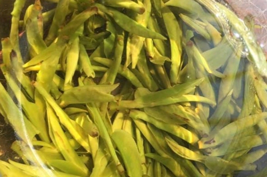 龍井是明前的好還是雨前的好，明前茶和雨前茶哪個(gè)好喝？