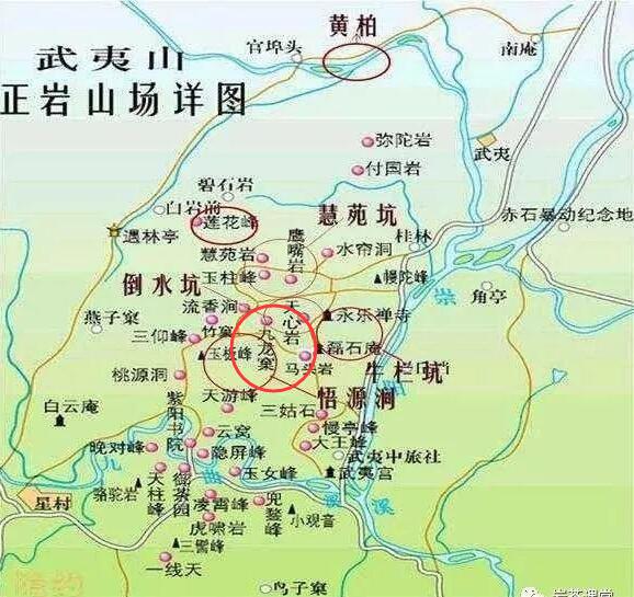 母樹大紅袍給誰喝了，為什么母樹大紅袍叫三棵六株？