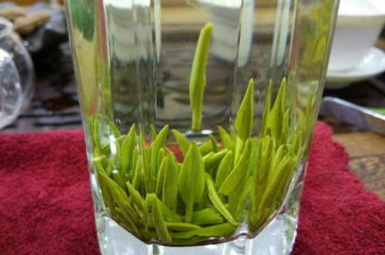 雀舌有一股青草味，雀舌為什么有青草味？