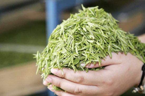 高山云霧茶屬于什么茶，高山云霧茶哪里的最好