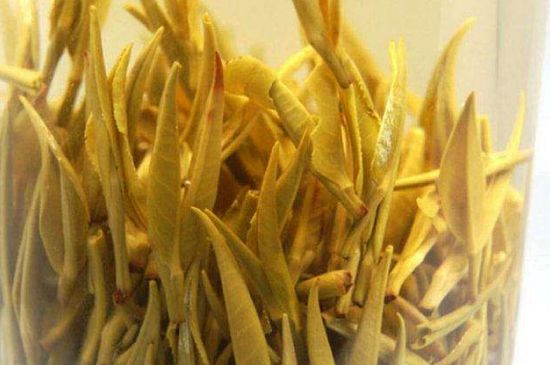 黃茶不適合哪些人喝，黃茶的功效與作用禁忌