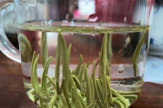 踏雪蘭妃是什么茶，踏雪蘭妃是哪里的茶葉?