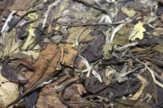 老白茶上火還是去火？夏季喝煮的老白茶會容易上火！