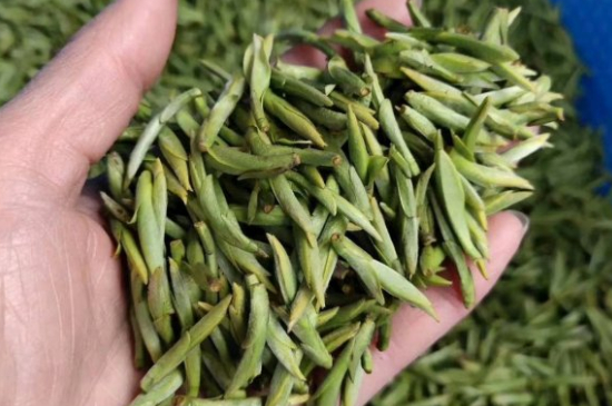 龍井茶好壞的鑒別圖片，如何區(qū)別龍井茶的好壞？