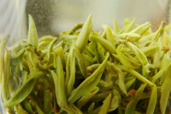 碧螺春為什么泡水渾濁，碧螺春茶葉泡水感覺很臟是混濁的