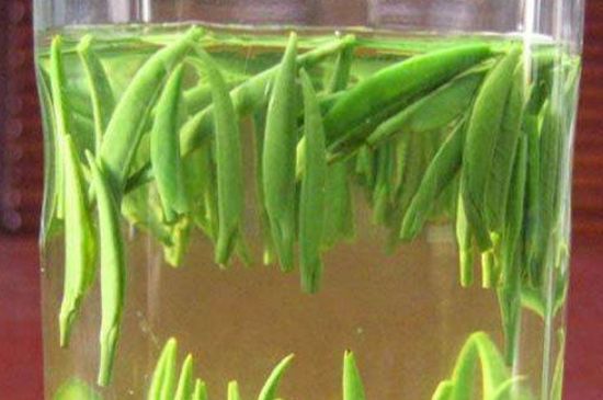 竹葉青和毛尖的區(qū)別，毛尖和竹葉青怎么分辨？