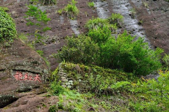 武夷巖茶大紅袍，喝起來是什么味道？