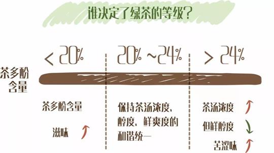 什么綠茶口味重口感濃郁，口味比較重的綠茶都有那些？