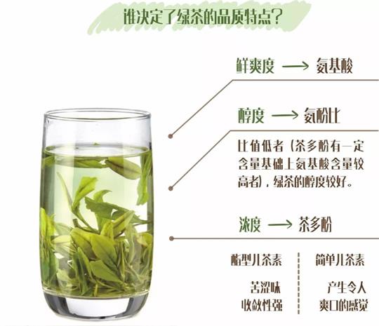什么綠茶口味重口感濃郁，口味比較重的綠茶都有那些？