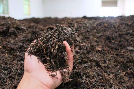 茯磚茶與普洱茶哪個(gè)好，茯茶和普洱茶口味區(qū)別