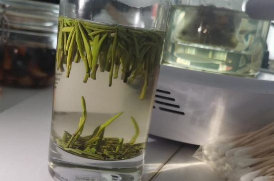 金壇雀舌算不算好茶，金壇雀舌屬于什么檔次茶葉？