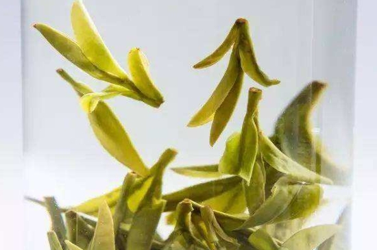 烏牛早和龍井的區(qū)別圖片，龍井43號(hào)和烏牛早茶的對(duì)比