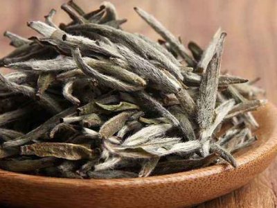 白茶有哪些品種排名，<a href=http://m.hb0335.com/fenlei/baicha/ target=_blank class=infotextkey>白茶的種類</a>大全