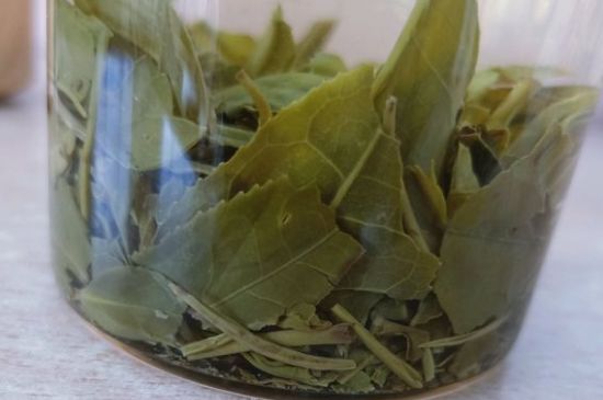 綠茶陳茶和新茶區(qū)別，綠茶怎樣區(qū)分新茶和陳茶