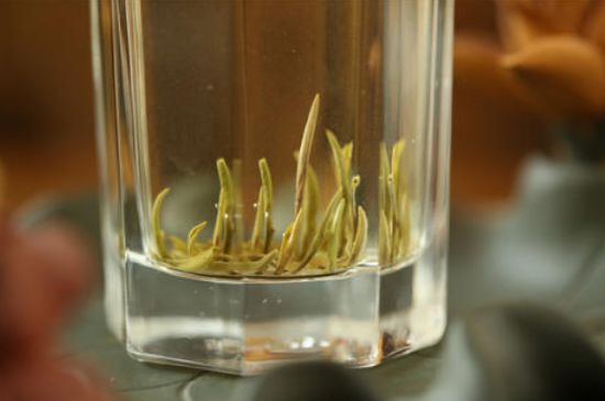 踏雪蘭妃是什么茶，踏雪蘭妃是哪里的茶葉?